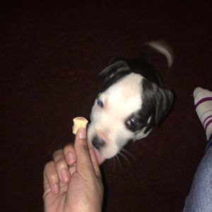 Meet your Posher, Danielle